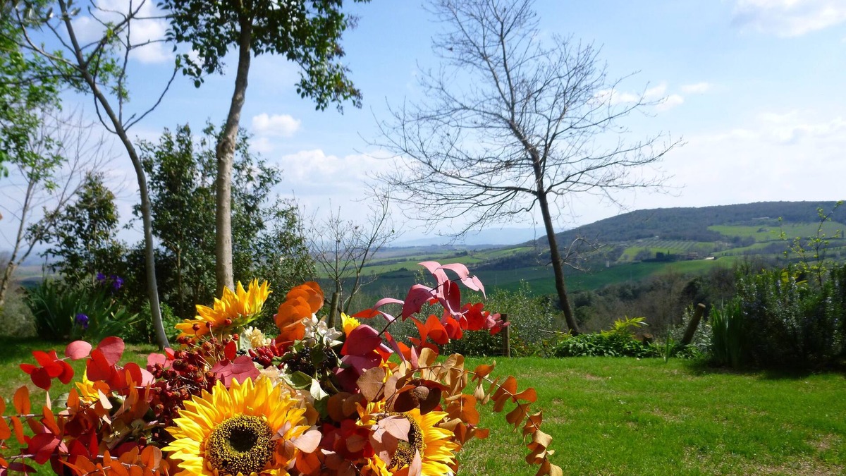 Vescovado Apartment | House with garden in the middle of etruscan hills
