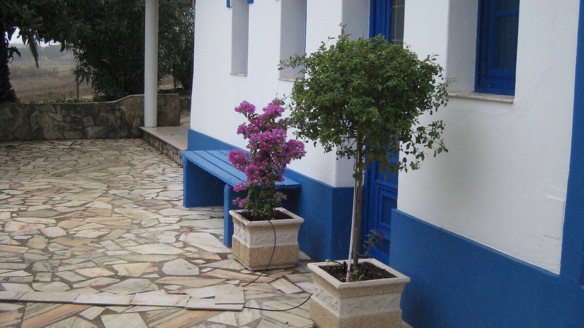 Monte da Vinha House | House with garden, perfectly situated in a nature reserve