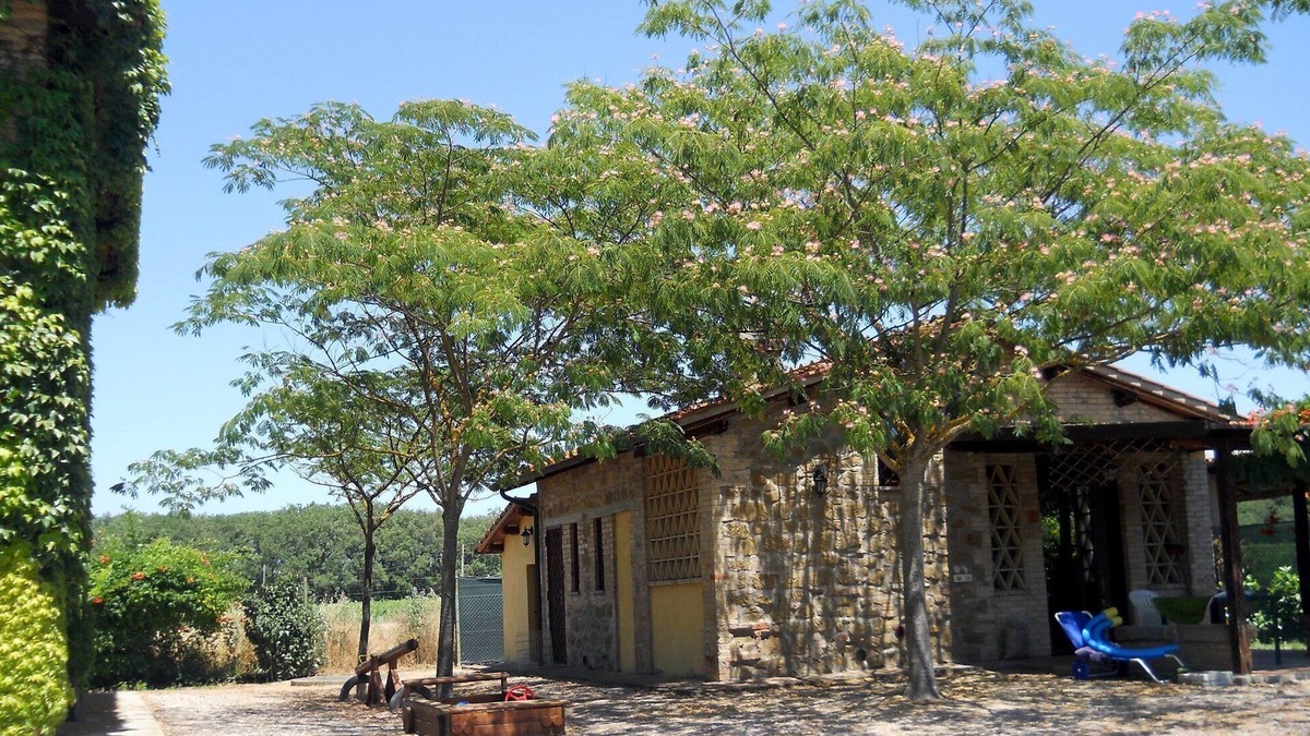 Torgiano House | House With Pool In A Wine Estate Close To Assisi And Perugia. Free WIFI