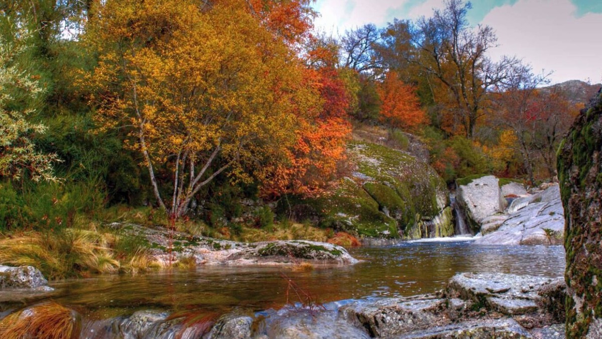 Covilha House | HOUSE WITH PRIVATE NATURAL POOLnPET FRIENDLYn7 KM COVILHÃ n3 KM PENHAS SAUDE