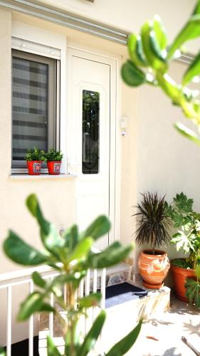 Elassona Apartment | Houseloft Elassona center