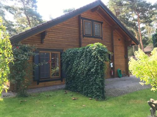 Langstraat House | Houten chalet/bungalow in het bos, sauna, jacuzzi