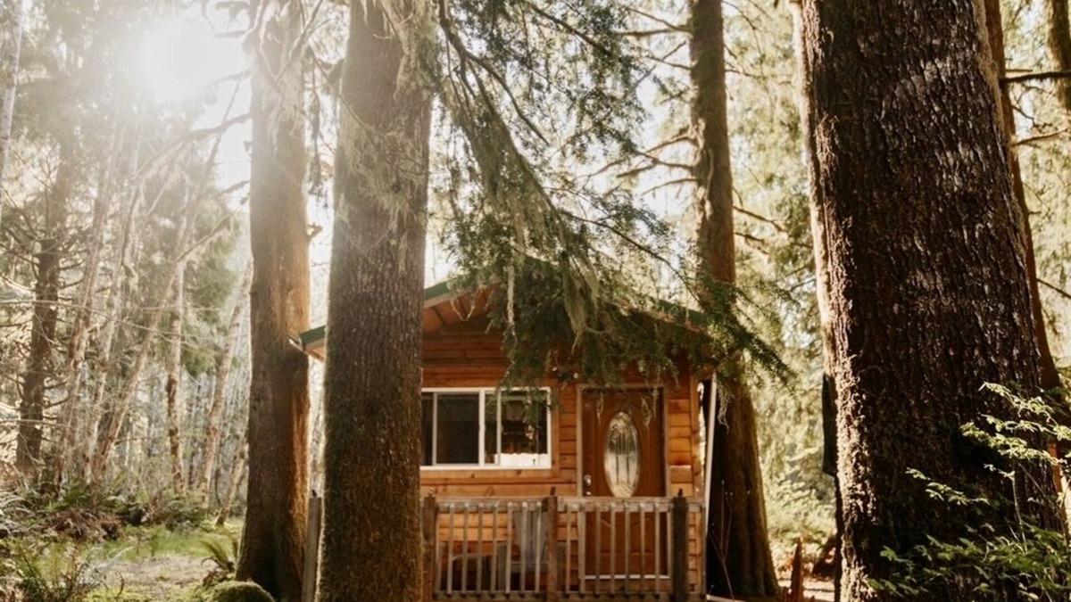 Forks Cabin | Huckleberry Cabin near La Push beaches