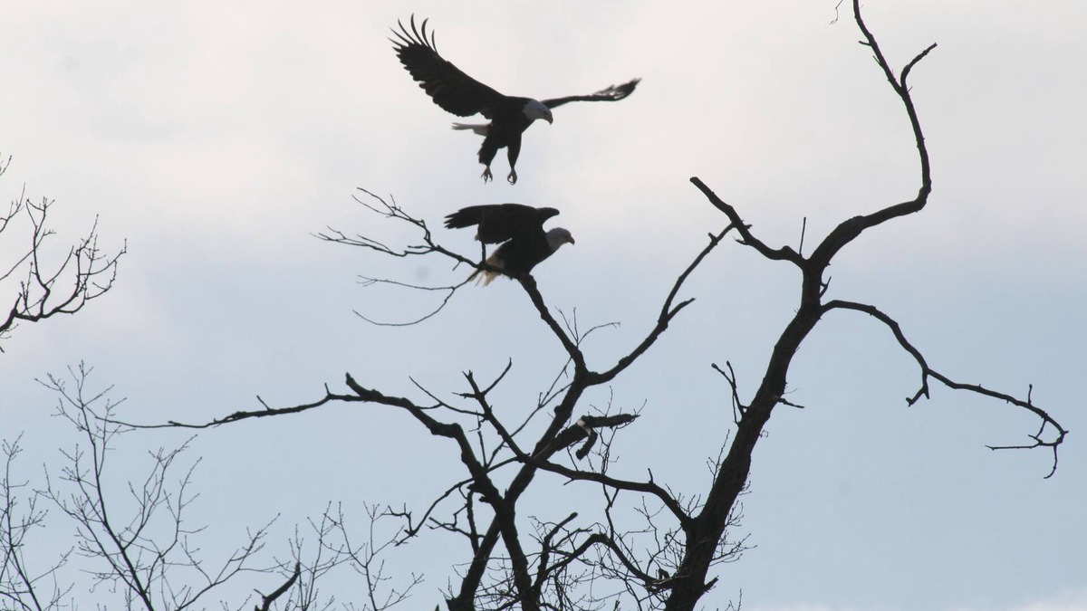 Huntsville House | Hunting, Fishing, Family Vacation Home