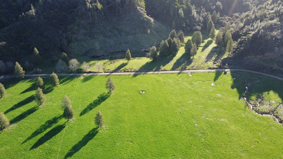 Tongaporutu House | Hutiwai hideaway cottage