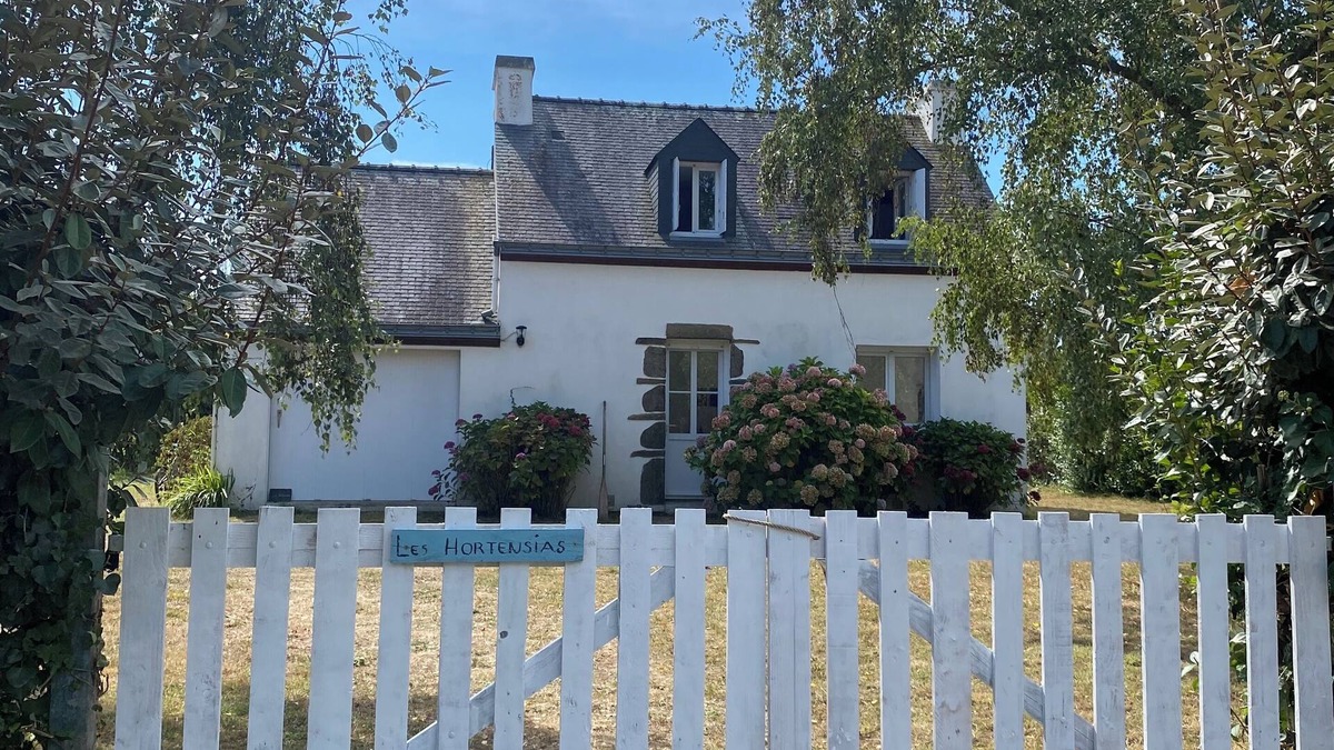Groix House | Hydrangeas