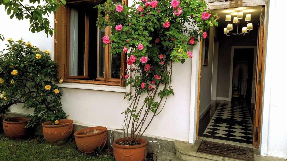 Chamalieres Apartment | Hypercentre - Luxury neighbourhood Quiet - 2 parking lots - Garden - Wifi