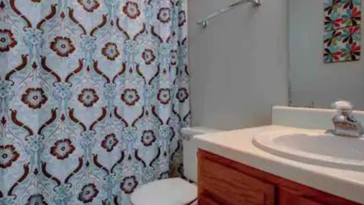 Roanoke House | I AM a Quiet, 2BR Townhouse w/Pets Considered near Downtown