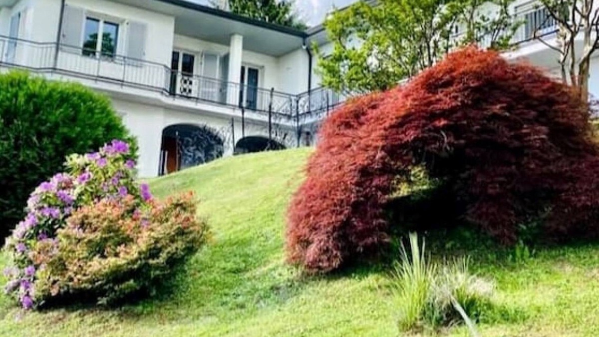 Como Villa | I FAGGI ROSSI - RED BEECH TREES