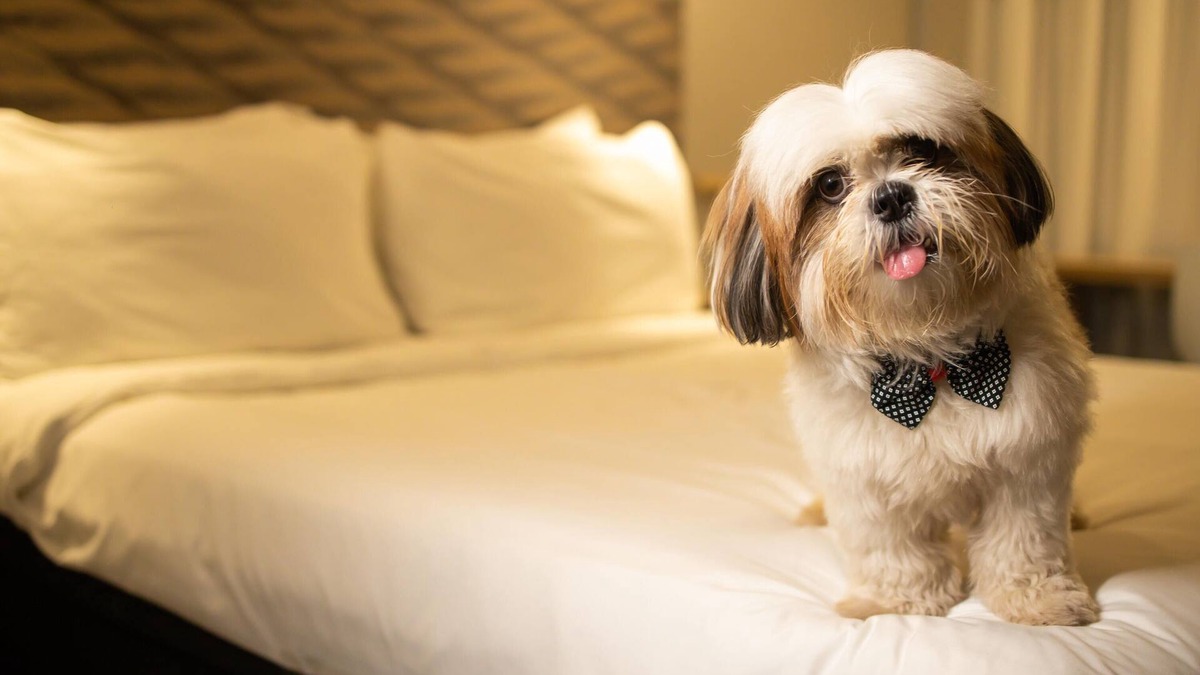 Juazeiro do Norte Hotel | ibis Juazeiro do Norte