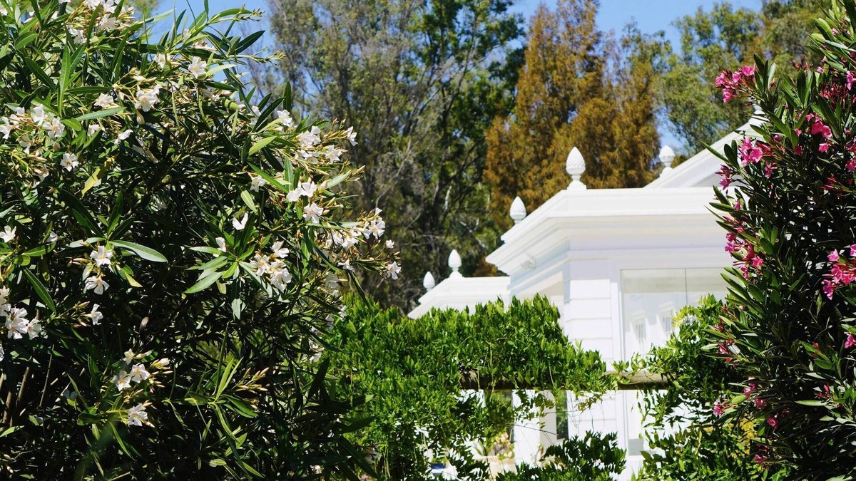 Penina Villa | Iconic Luxury Villa, an Architectural gem and haven of Tranquility