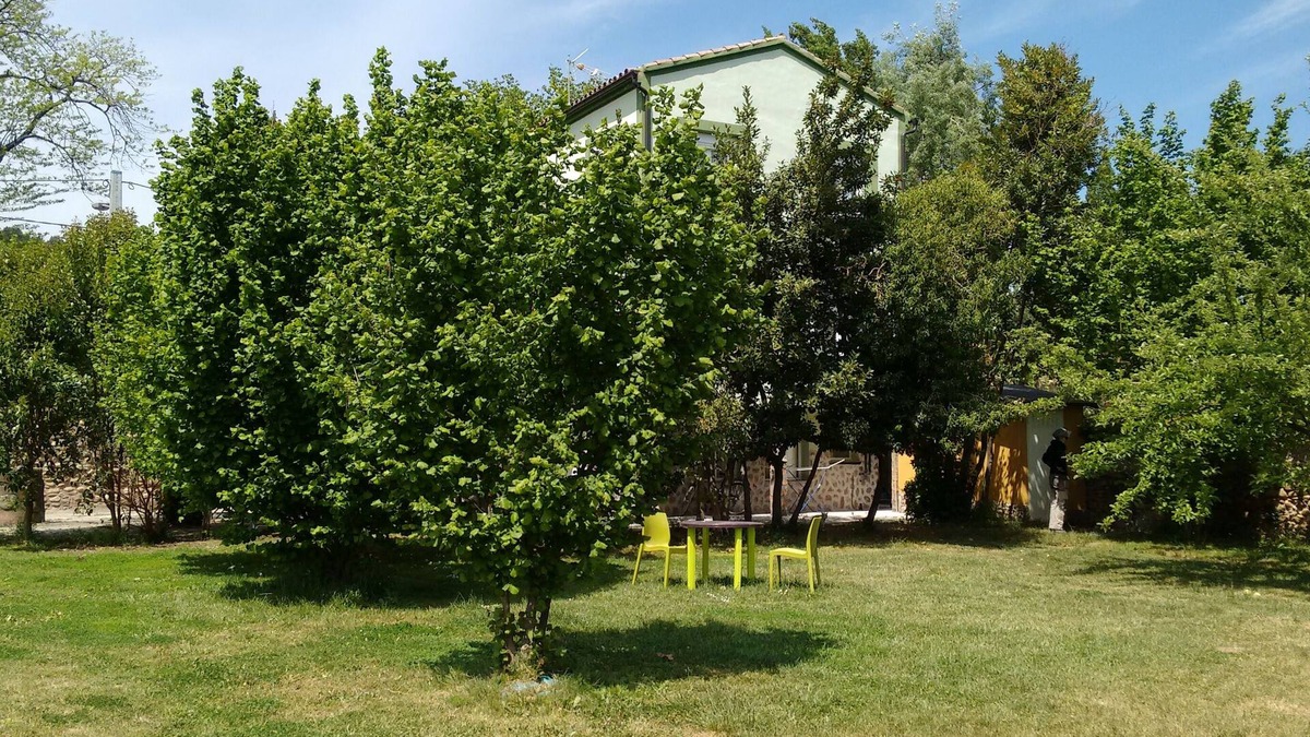 Najera Apartment | Ideal pets: apartment in house with garden - first floor.