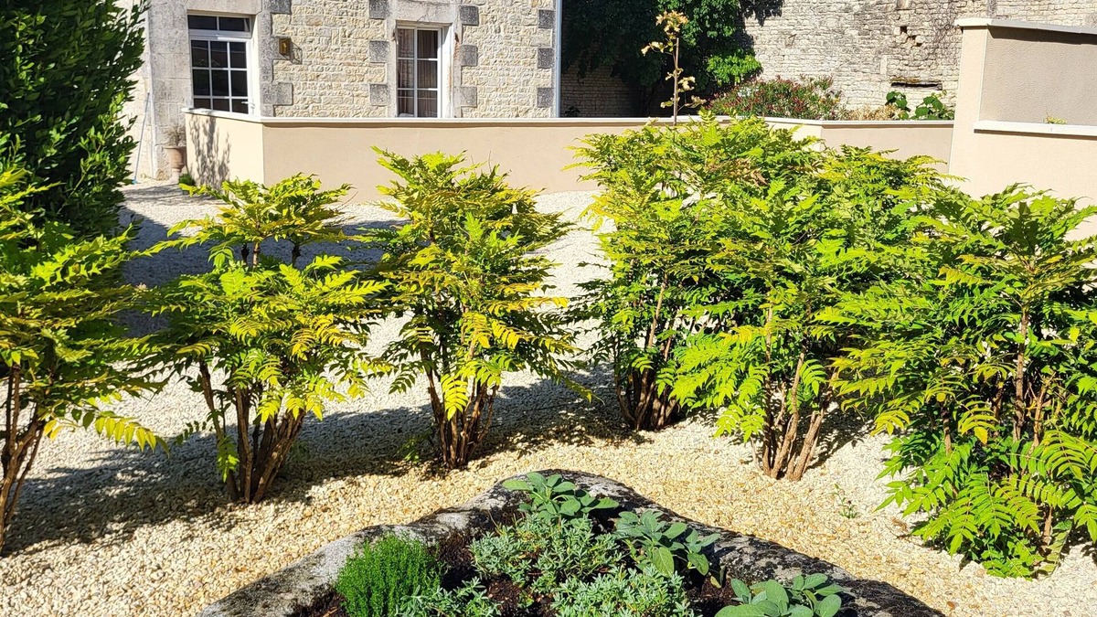 Coulonges House | Idyllic and charming 4-bedroom country manor house in peaceful Charente village.