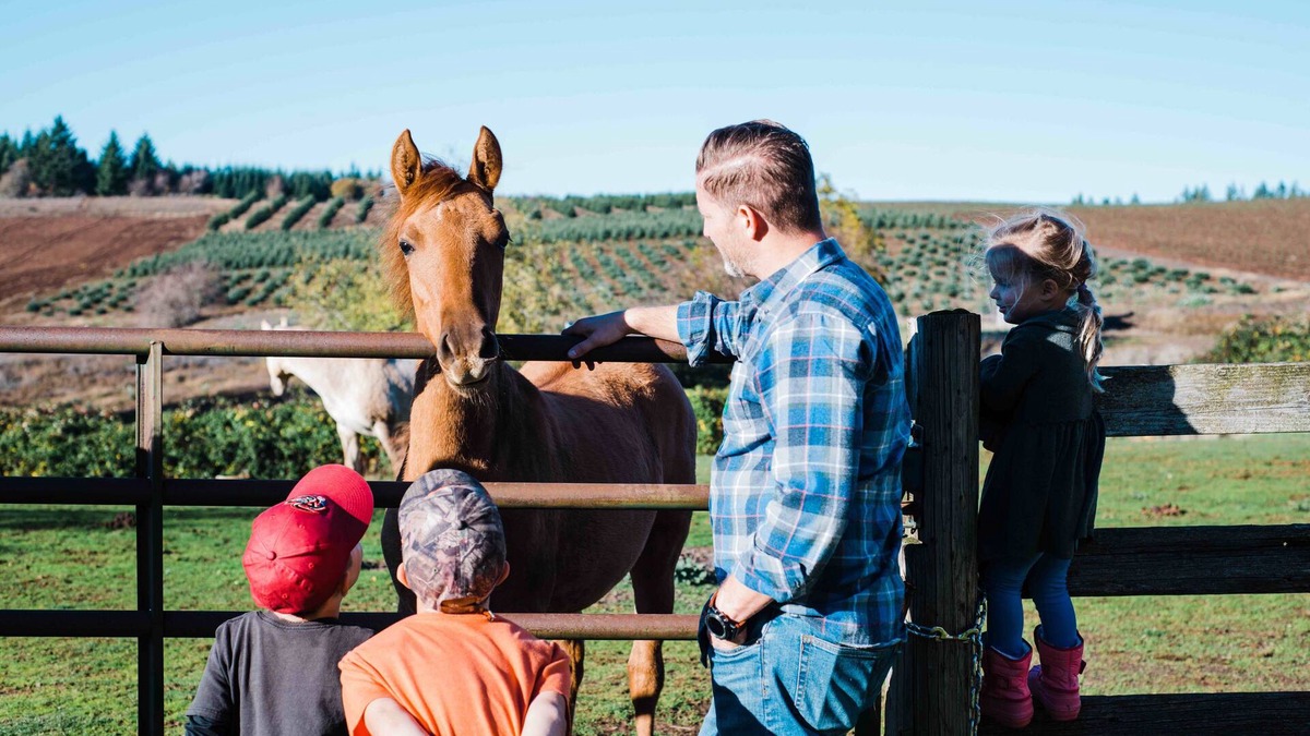 Molalla Other | Idyllic Farm Retreat for Family & Friends - One hour from Portland, OR.