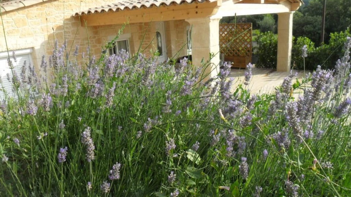 Les Adrets-de-l'Esterel House | IDYLLIC MAS PROVENCAL ANY COMFORT WITH POOL AND PRIVATE TERRACE