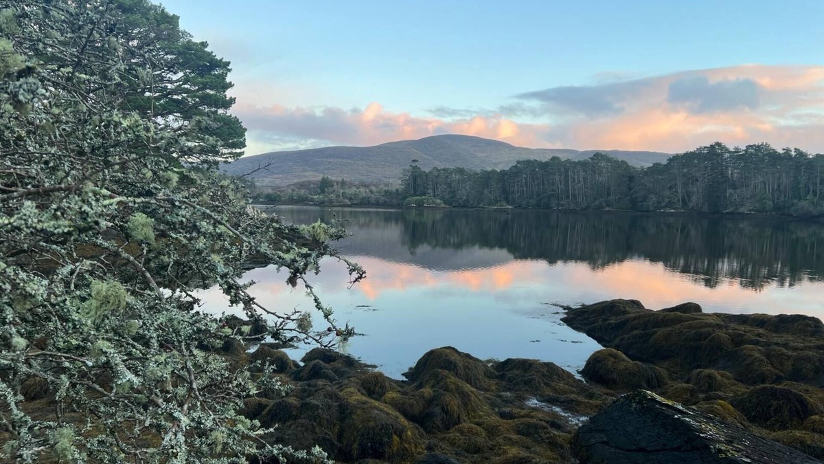 Eyeries Cottage | Idyllic seaside cottage on Ireland's glorious Wild Atlantic Way.