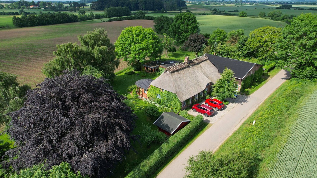 Rabenkirchen Other | Idyllic thatched roof house from 1860 with winter garden and foresight