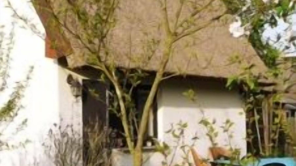 Kroeslin House | Idyllic thatched cottage on the old Peene