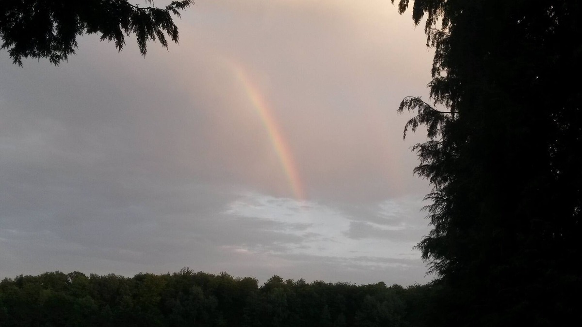 Neunkirchen House | Idyllic vacation home in the middle of nature