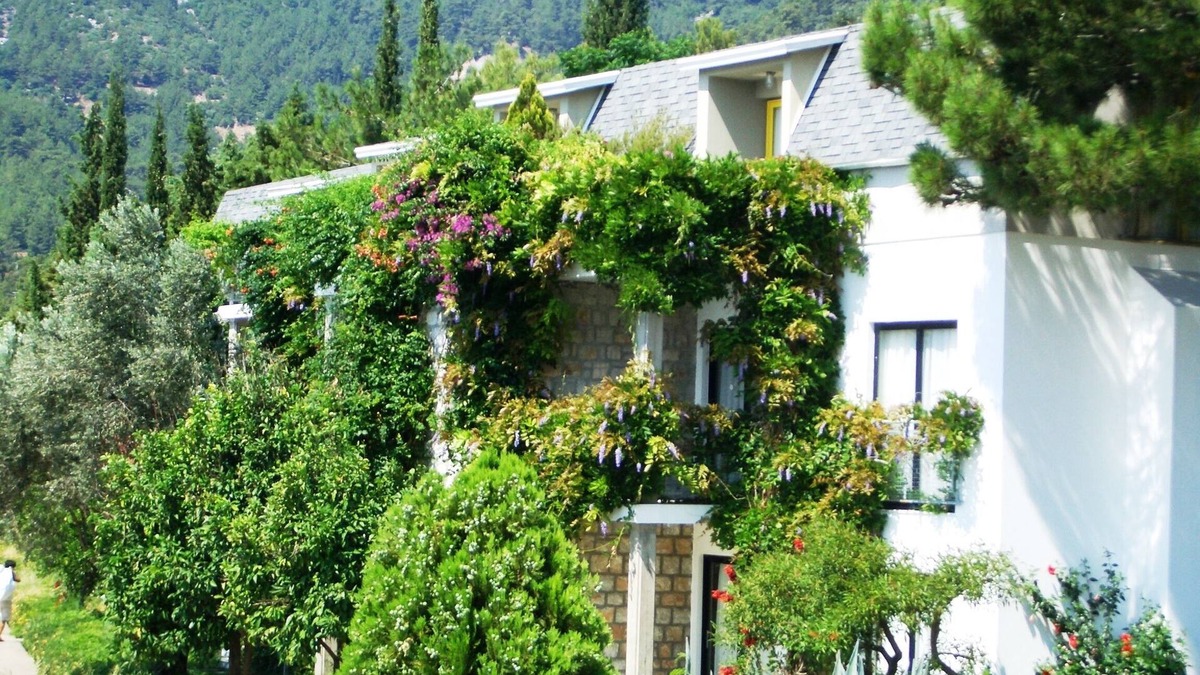 Turunc Apartment | If you can imagine relaxing under the olive trees sipping a Gin & Tonic!