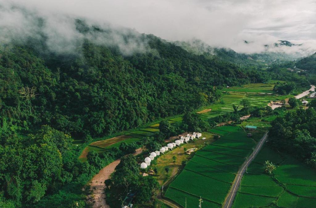 Bo Kluea Other | Ikigawa Home