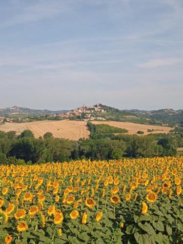 Montiglio Monferrato Bed & Breakfast | Il Casale