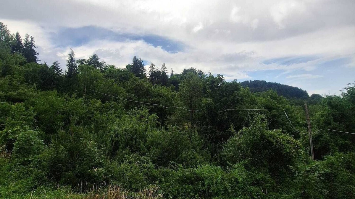 Berceto Apartment | Il Corridore - Piccolo Borgo Tralacoasta