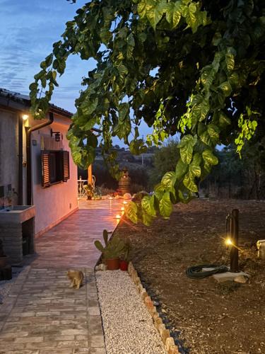 Scerni Villa | Il Gelso Bianco
