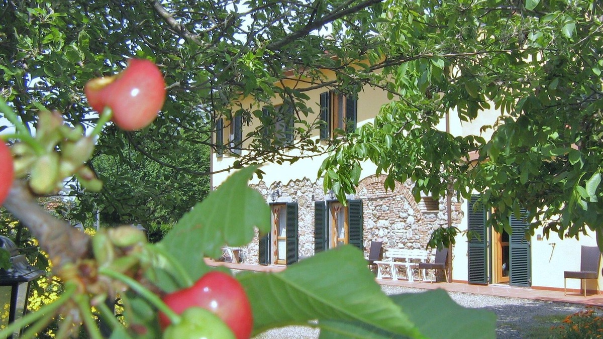 Pomaia House | Il Gelso