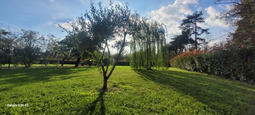 Novi Ligure Bed & Breakfast | Il giardino di Marianna
