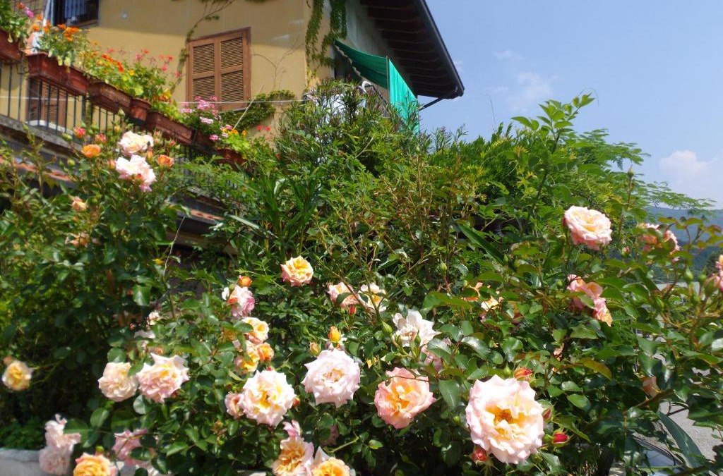 Olgiate Molgora Bed & Breakfast | Il Giuggiolo