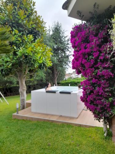 Valcanneto Bed & Breakfast | Il Sogno delle Rondini