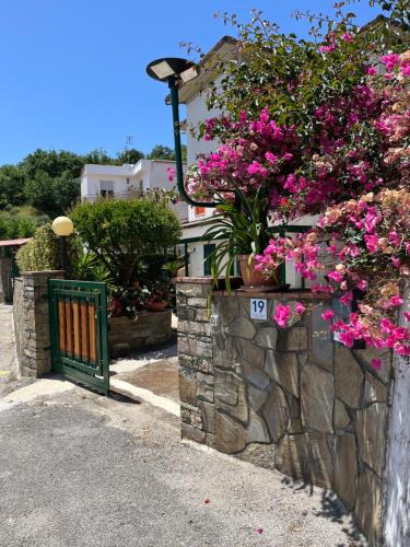 Pioppi House | Il Sole di Pioppi