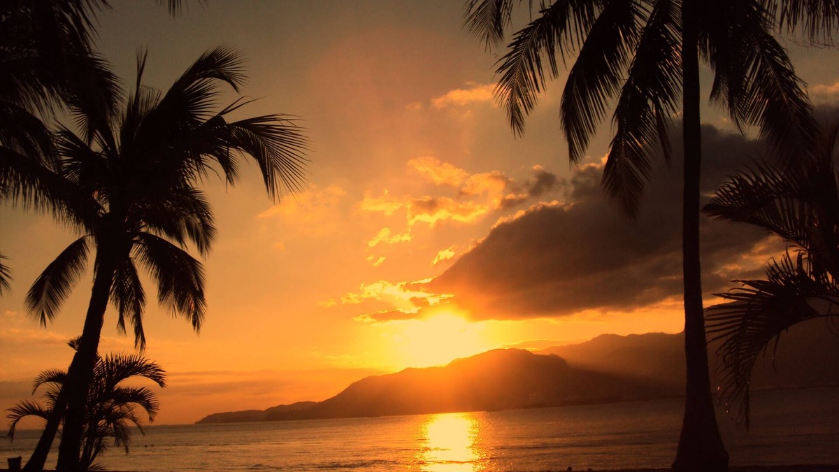 Centro Comercial House | Ilhabela - Season Year Round -Beautiful Garden in Perequê