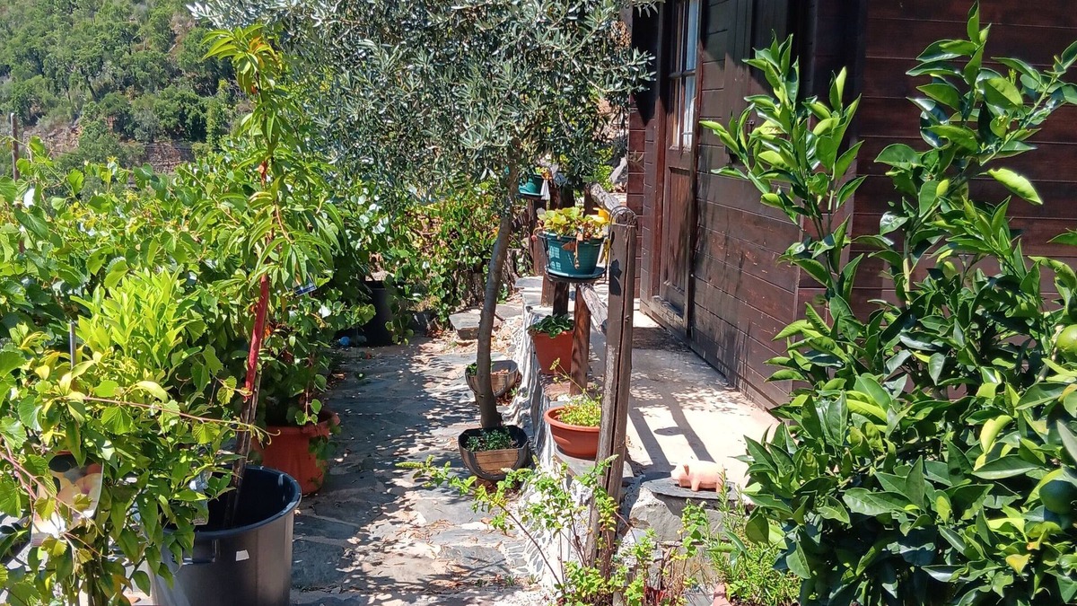 Gois House | Immaculate 1-bed House in Gois Mountain View