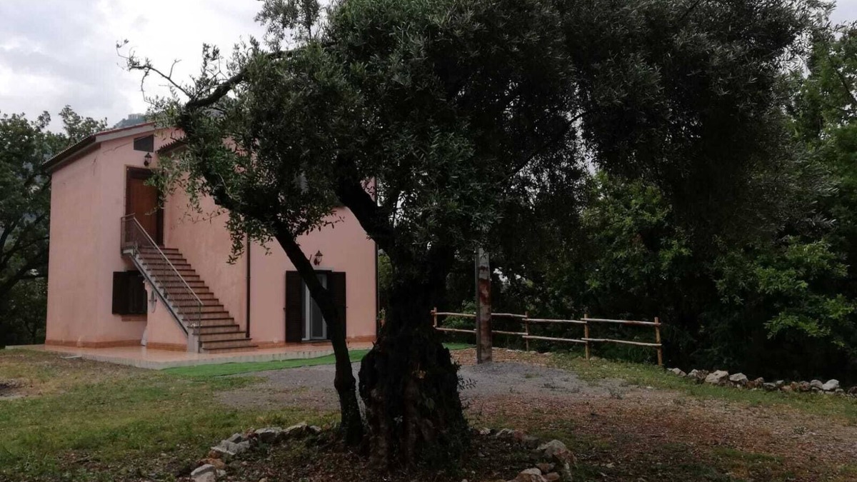 Maratea House | Immersed in the green of Maratea 1 km from the sea
