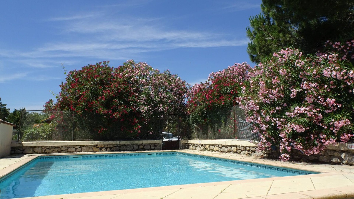 Gruissan Apartment | In the Bird Paradise, an Oasis of Silence, the Best Rest for You!