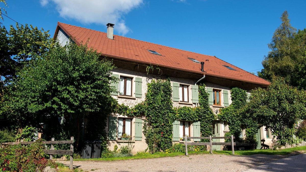 Saulxures-sur-Moselotte House | In the Vosges, la Retorderie gîte: 11 people, sauna, fireplace, catamaran net