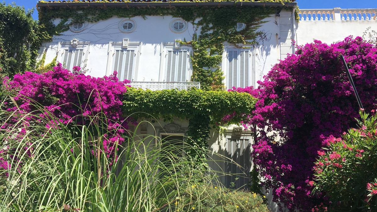 Le Mourillon House | In the heart of Mourillon superb villa 50 m from the sea