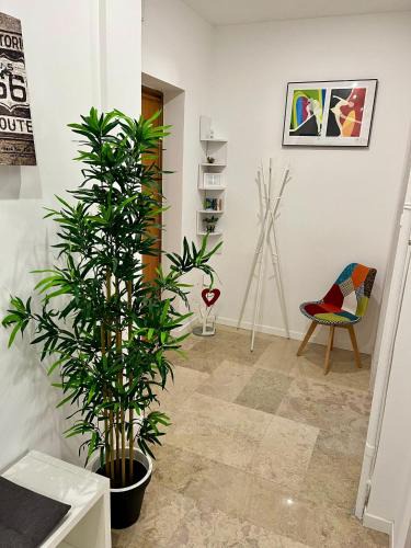 Santa Rita Apartment | Inalpi Arena ex Pala Alpitour Stadio Olimpico SEBA159