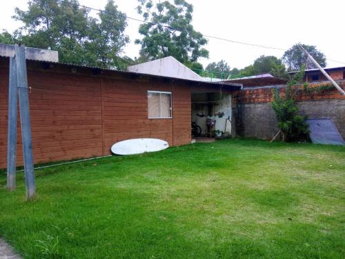 Muquem Other | Inature