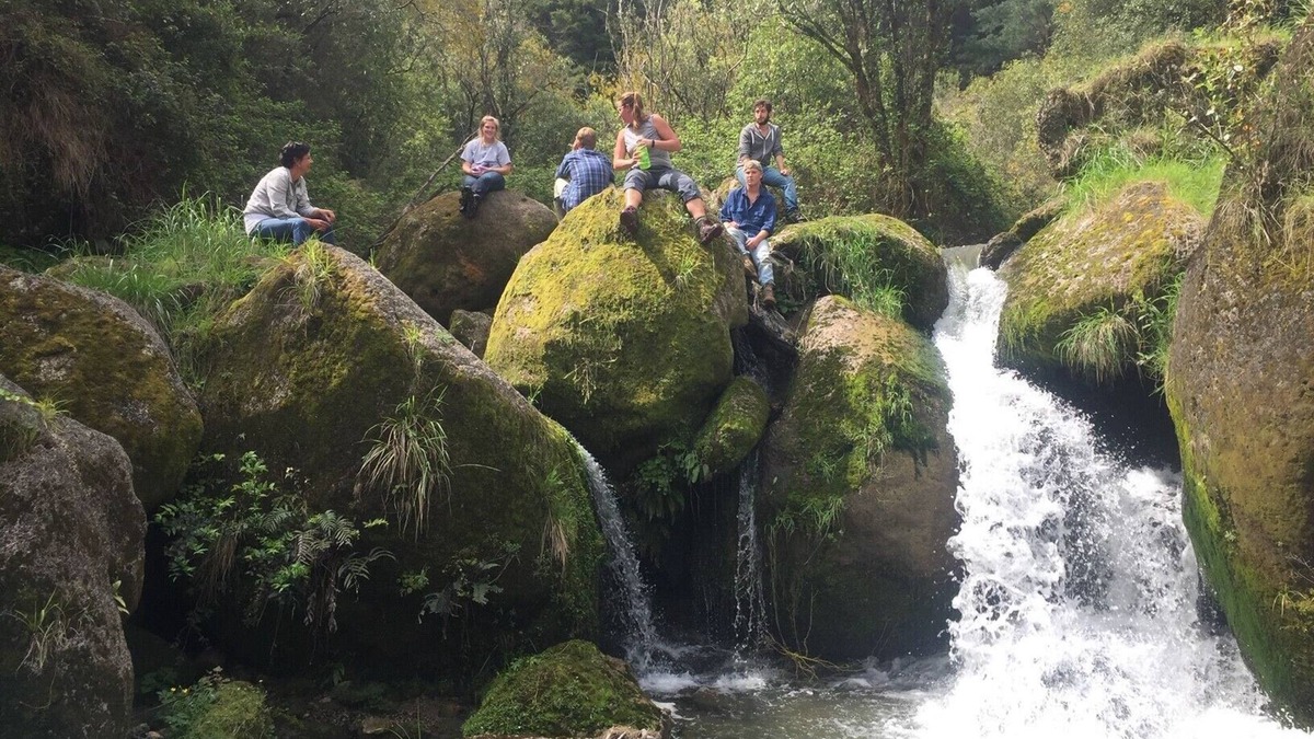 Te Haroto Other | Incredible Farm Experience