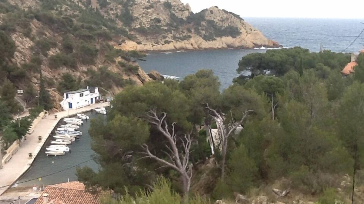 Ensues-la-Redonne Apartment | Independent apartment in villa, in the pines overlooking the sea.