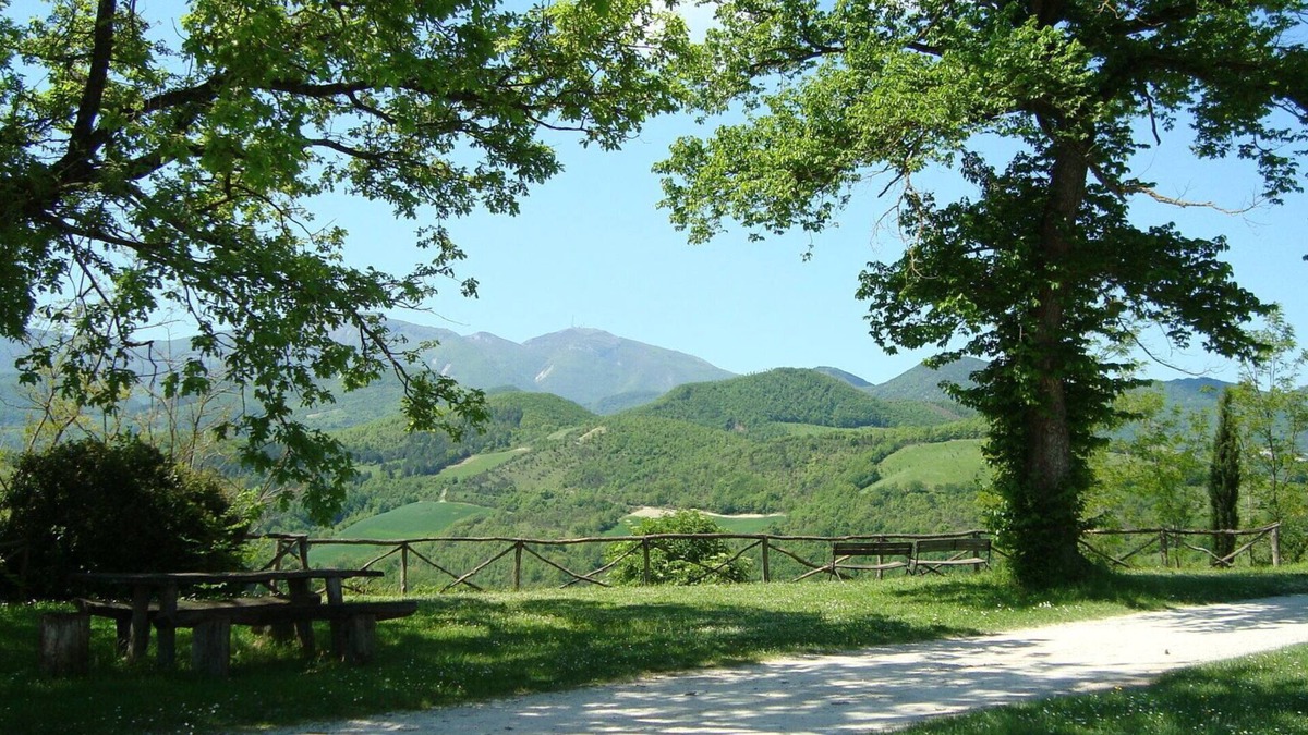 Cagli Other | Independent apartment in a farmhouse of a winery
