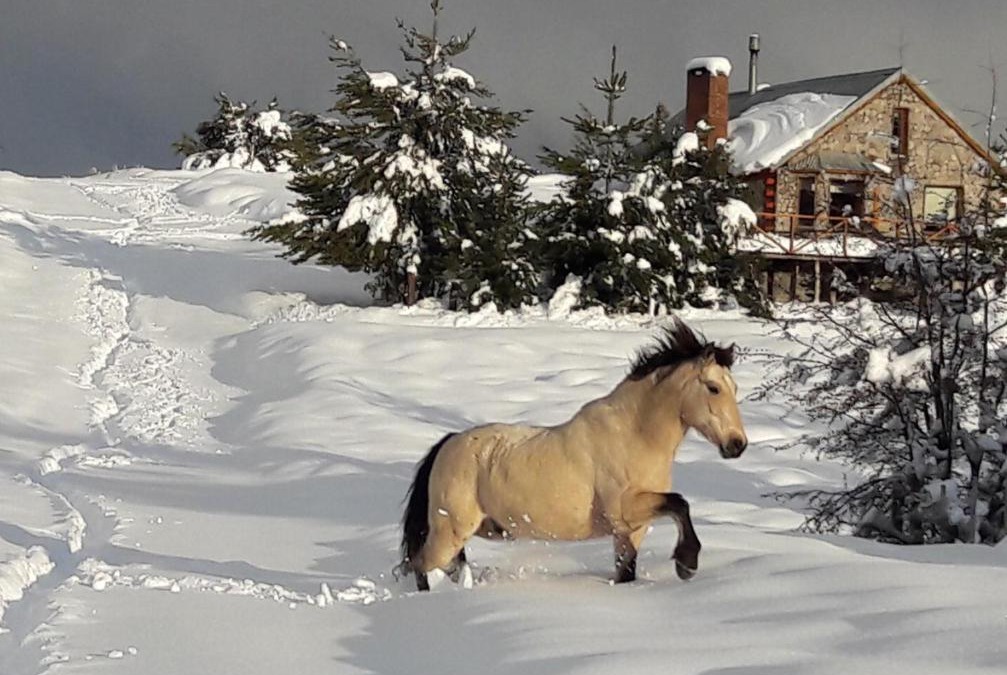 Meliquina House | Inpeuma meliquina