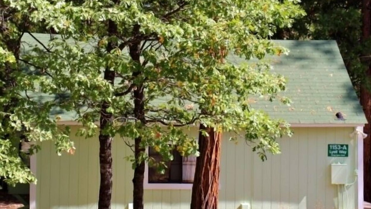 Foresta Cabin | INSIDE YOSEMITE! Ten minutes from Yosemite Valley. SUMMER/FALL openings!