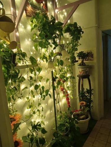 Gravina di Catania Apartment | INTERO APPARTAMENTO catania policlinico