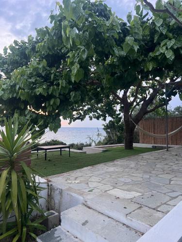 Zalongo House | Ionian Cape seaside apartment