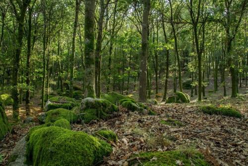 Meada House | Isatour Casa na Serra