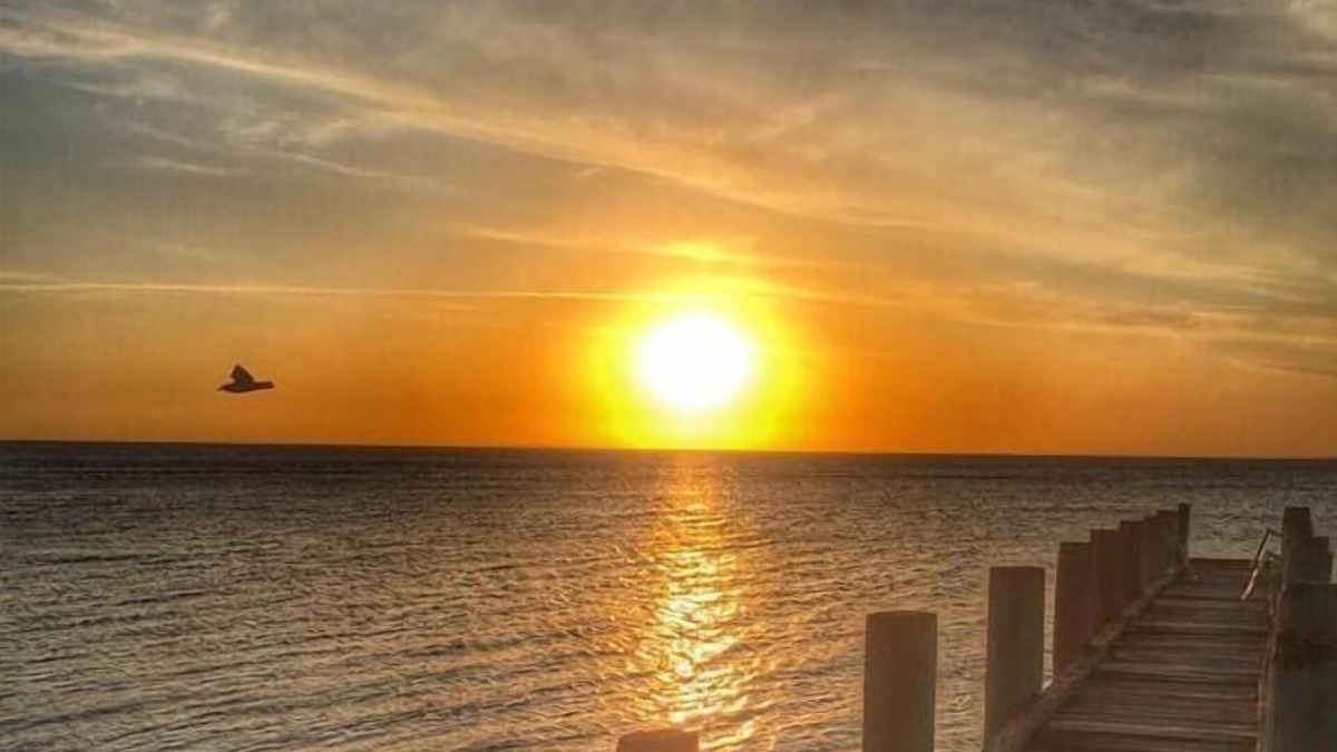 Whitemark Hotel | Island Quarters